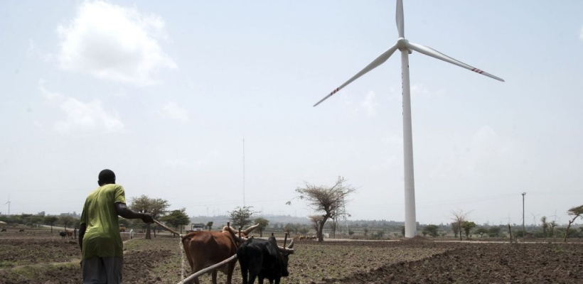 Chronique Énergies renouvelables & Agriculture en Afrique de l'Ouest au 15 décembre 2021